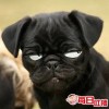 山西网友47919