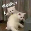 评论头像