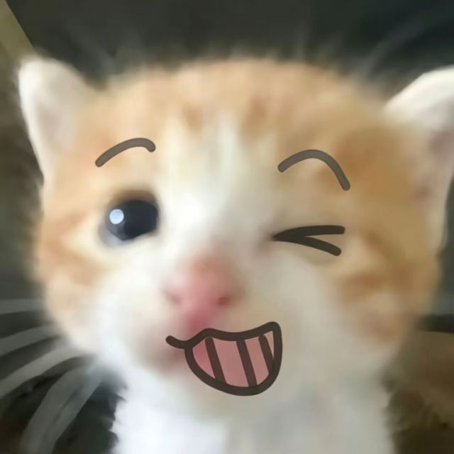 QQ邮箱头像
