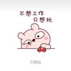 河北网友44673