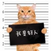 chen456250的头像-无忧免费游戏网