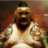 陕西网友20709