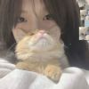 北京网友21518