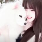 QQ头像
