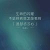 广西网友56676