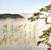 山西网友53689