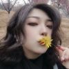 澳门网友78241