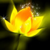 tyssyytlwh的头像-Xyner