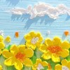 西藏网友73144
