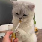 QQ头像