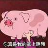评论头像