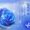 黑龙江网友37792