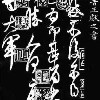 河南网友93664
