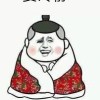 甘肃网友86857
