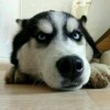 网友昵称：狂侠