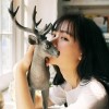 河南网友48218
