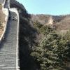 天津网友58442