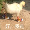 江西网友51119