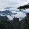 青海网友58874