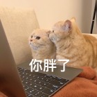 QQ头像