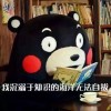 河北网友55158