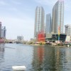 山东网友43741