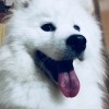 喜爱光膀子