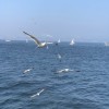 宁夏网友20072
