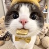 天津网友97856