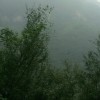 北京网友41661