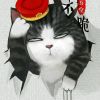 澳门网友67057