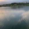 网友昵称：qq376479809