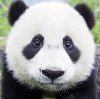 天津网友21858