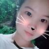 河南网友22243
