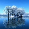 世世云中雪z