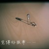 浙江网友33709