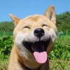 林三