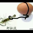 QQ头像
