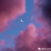 台湾网友17024