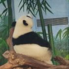 QQ头像