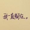 重庆网友82814