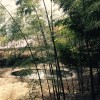 8酷g拽民美