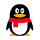 QQ Email Avatar