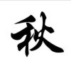 河南网友48295