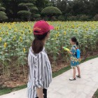 QQ头像