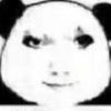 评论头像