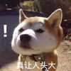 评论头像