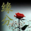 上海网友91287