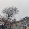 浙江网友32689