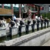北京网友55822